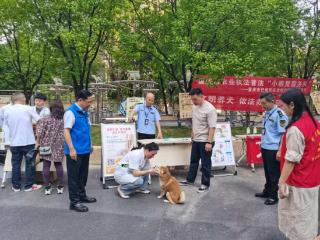 从疫苗接种到多元治理 重庆巴南构建文明养犬“全周期管理”生态
