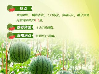 五一假期济南“吃瓜”攻略出炉 这份采摘地图请收好