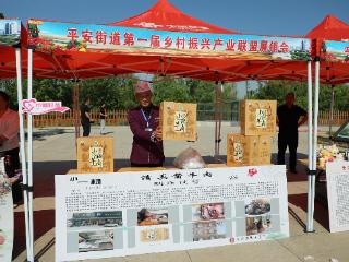 春末夏初至湿地，共富之花映田园——平安街道与您共享乡村振兴产业联盟盛宴