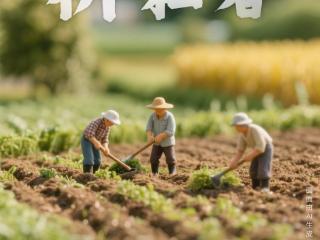 比个心，向每一个热“AI”劳动的菏泽人