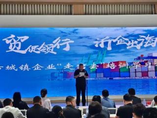 从乡村礼堂迈向国际市场！兰山区方城镇联手临沂商城举行企业“走出去”培训学习会