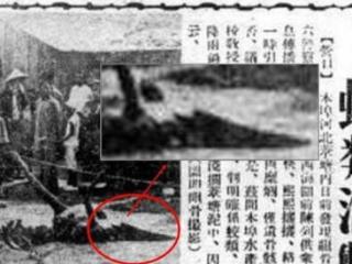 原创1934年的“营口坠龙”，经过几十年探索，最后得出什么结论