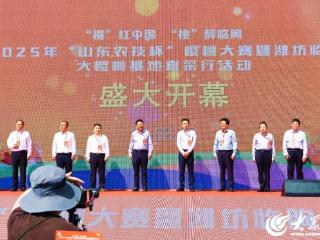 潍坊临朐：鲜果盛宴大赛揭密樱桃产业发展三大 “法宝”