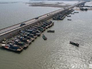 黄渤海进入伏季休渔期，即墨近千艘渔船归港护海