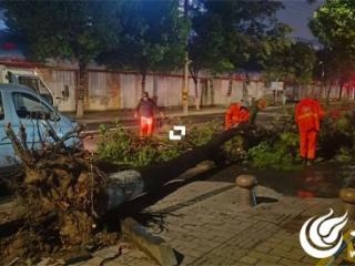 潍坊风雨中的“绿色守护者” 用行动诠释劳动节真谛