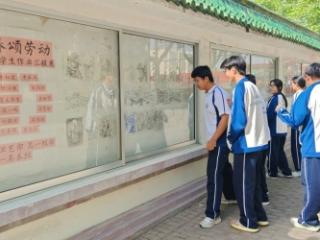 【青春笔尖绘劳动 美育之花绽五一】——山东省济南市莱芜第十七中学举办“绘青春颂劳动”基础绘画专题展