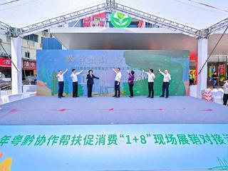 安顺市：多元赋能 共绘协作新篇