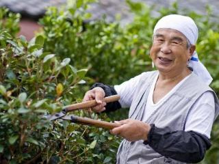 日本人不爱运动却最长寿，患癌率极低，医生：这几个原因值得深思