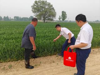 梁山农商银行：金融“活水”浇灌广袤农田