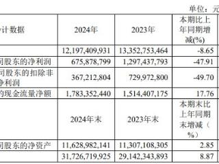 【名企财报】长飞光纤：2024年营收122亿元，净利润6.76亿元