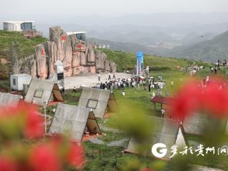 播州区：万亩杜鹃花海引客来