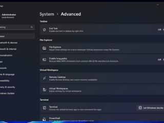 Windows 11设置更新：将迎来“高级”选项页面