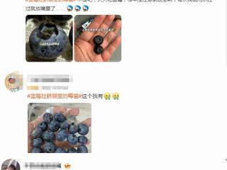 蓝莓这个地方容易滋生霉菌 吃前别忘给它“掏耳朵”