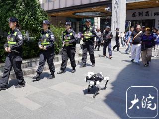 芜湖： 机器警犬首"上岗"助力“五一”安保