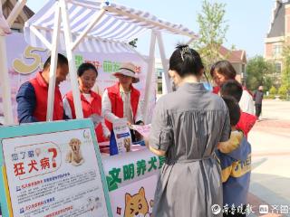 平度凤台街道萌宠嘉年华点燃假日经济，千余人共探宠物产业新赛道