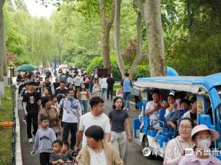 泉城五月萌动时！ 济南动物园一站式解锁“动物系”假期