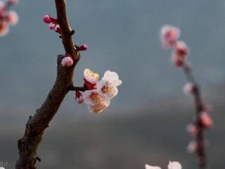 女人，喜欢一个男人要主动，但也要有方法，才能赢得他的心
