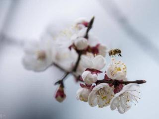 永远不要轻易原谅伤害你的人，不管他是谁，不管什么原因，别心软