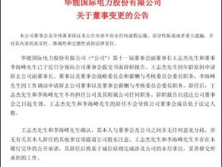 华能国际 副董事长辞职！