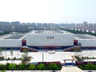 领物须知｜今日开始领物，启阳体育2025沭马这些信息你一定要仔细阅读哦！