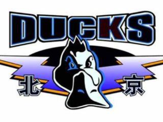 媒体人：北京总决赛主场球馆目前仍安排在首都体育馆，五棵松要看是否有操作可能
