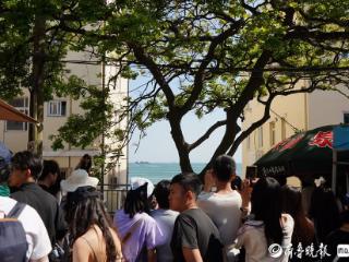 琴岛观澜丨从“网红墙”到“孤独的树”，小众打卡地有啥流量密码