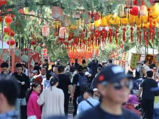 假期过半，精彩继续！速来济南公园景区解锁精彩