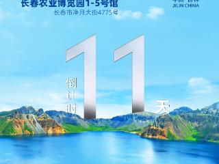 倒计时11天！