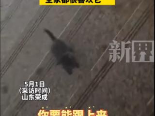 【本周热榜】这一周，威海发生了哪些事呢？（4月28日-5月4日）