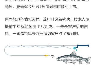 外贸企业一线调研丨修炼“内功” 从容迎击风雨