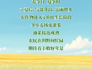 立夏丨夏启新章，万物竞茂