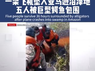 飞机故障迫降亚马逊鳄鱼巢穴 获救者：鳄鱼和蛇整晚盯着我们