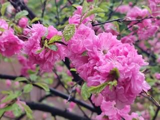 气象专家说节气｜立夏节气，我省刚入春
