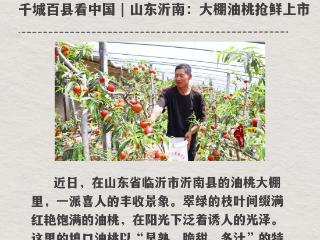 跟着央媒看沂南第（7）期：五一期间 山东临沂红色沉浸式体验感拉满