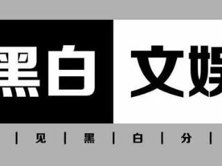 创作的“审美向上”，与顺应时代的“向下入口”并不矛盾︳黑白文娱专访《黄雀》总制片人张海东