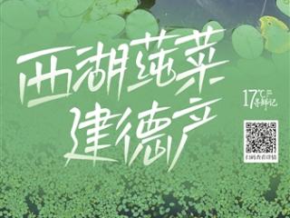 西湖莼菜，建德产