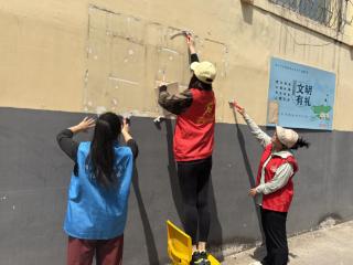 任城区网格党员齐行动，社区焕新展新容