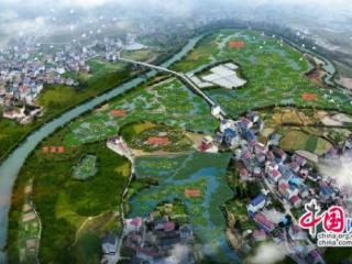 泸溪黄家桥村：党建引领强根基 乡村振兴展新篇