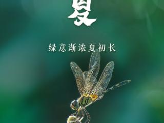 东湖评论：立夏好时节，奋斗正当时