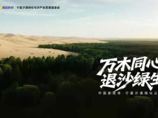 “中国家居林” 揭牌！TATA木门联合展辰新材等开启绿色新征程！