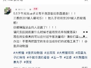 重庆动物园一游客往大熊猫场馆扔异物 园方回应：大熊猫暂时没有异常