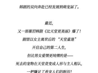 从韩剧到爱豆，猫塑美学赢麻了！