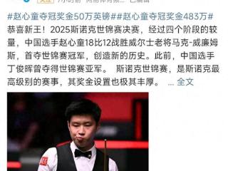 赵心童夺冠获483万，好友王楚钦世界杯奖金21万，收入被热议