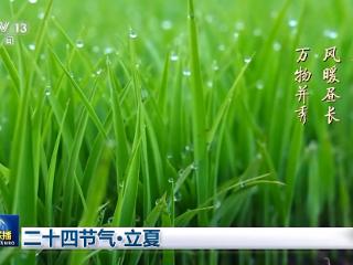 文化中国行丨二十四节气·立夏 春尽夏启 繁华更盛