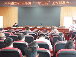 临沭县大兴镇扎实组织开展小麦一喷三防工作