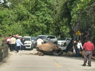 约4吨重巨型岩石滚落至道路 相关部门紧急处置