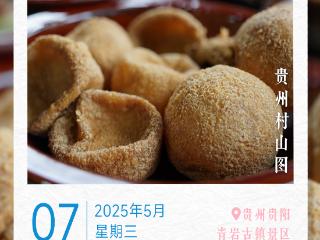 5月7日｜100天的春季 100分的美丽