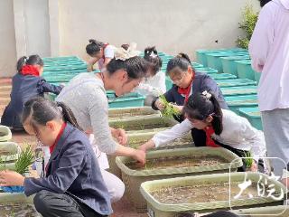 劳动赋能成长实践点亮未来 合肥高新区首届学生劳动素养展评活动火热启幕