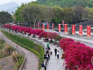 云阳江畔的五月花海，千万别错过！