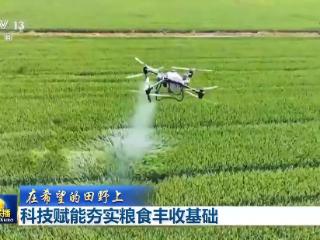 经验种地→数据种地 多地科技赋能助力粮食丰收